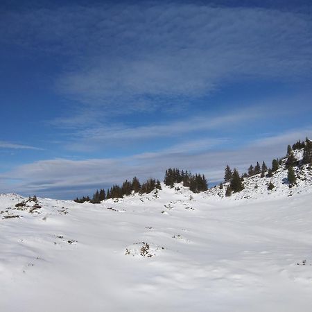 Le Chalet Theys Екстериор снимка