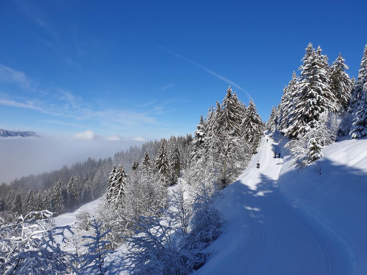 Le Chalet Theys Екстериор снимка