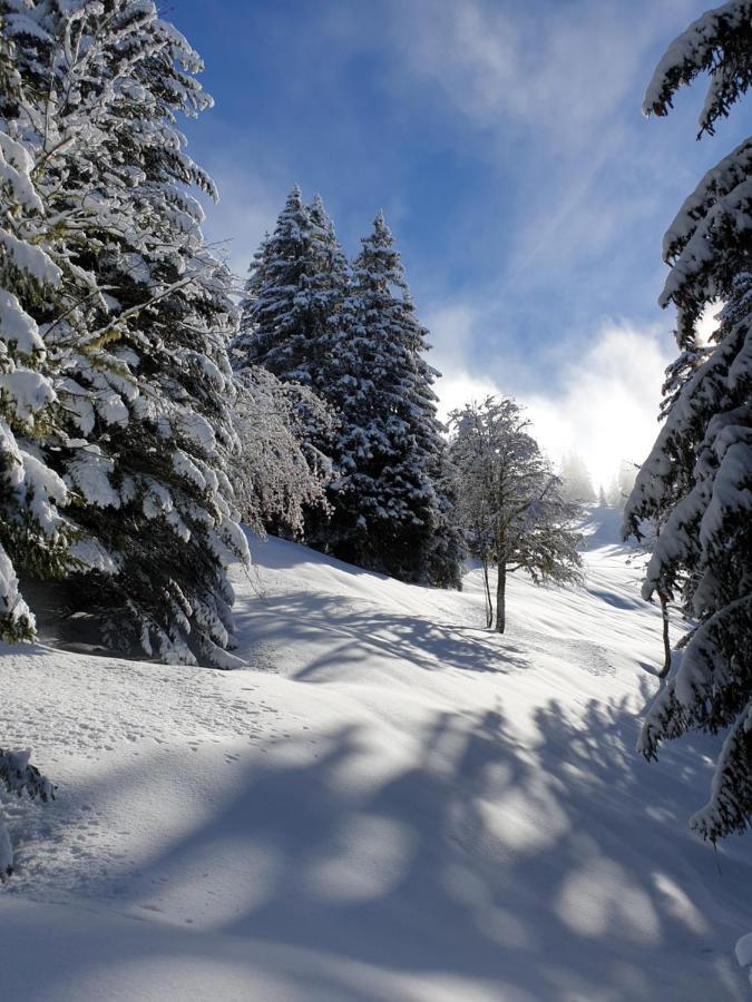 Le Chalet Theys Екстериор снимка