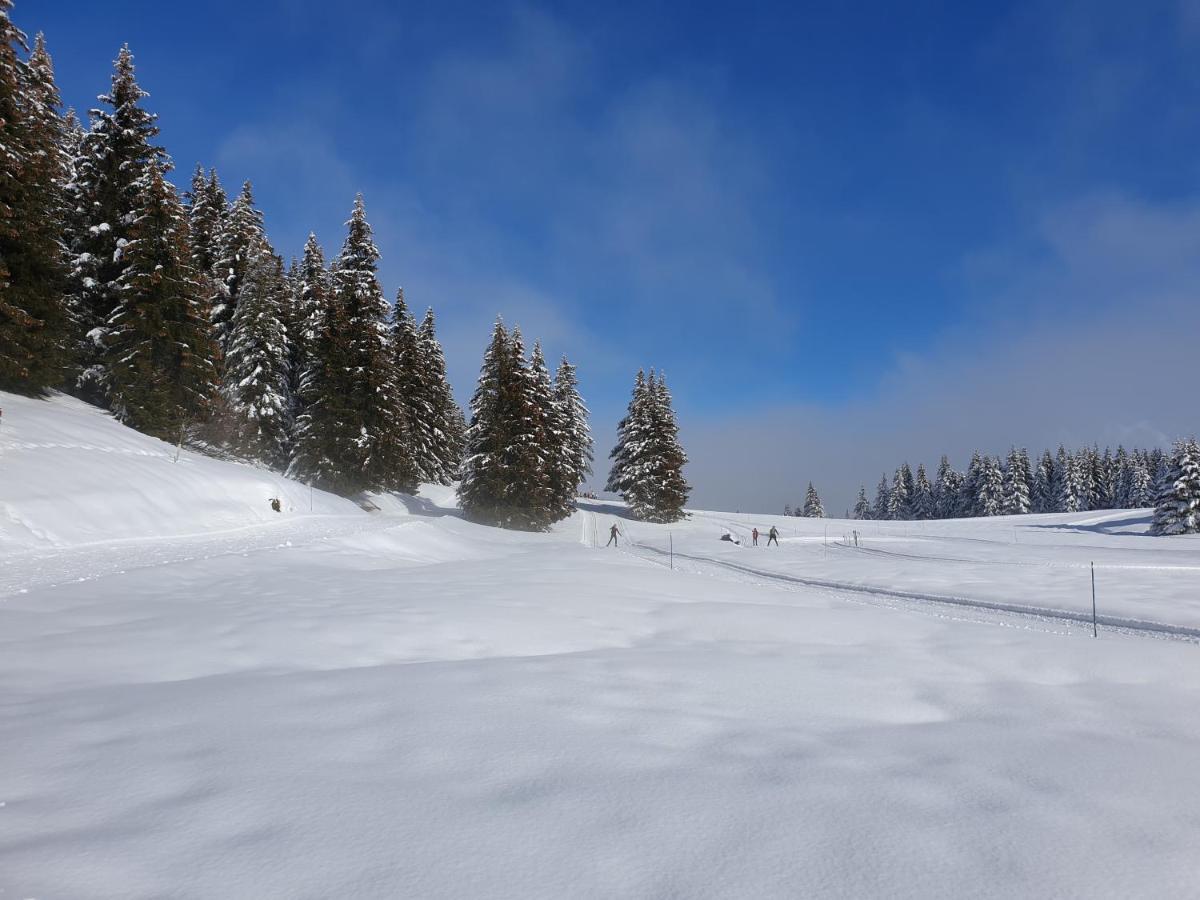 Le Chalet Theys Екстериор снимка
