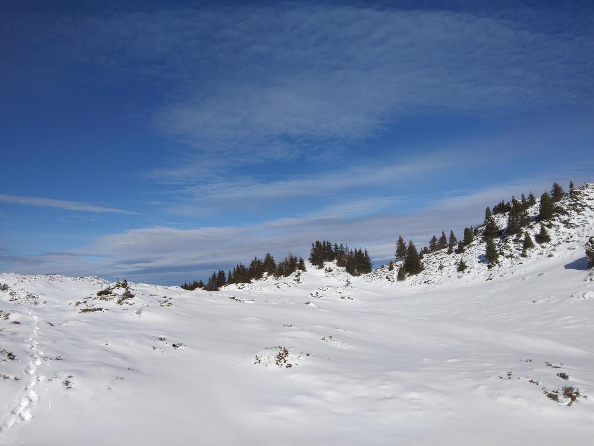 Le Chalet Theys Екстериор снимка